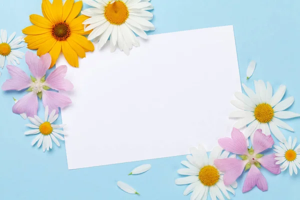 Trädgård Blommor Ram Över Blå Bakgrund Blommigt Gratulationskort Ovanifrån Platt — Stockfoto