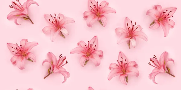 Lily Flowers Pink Background Seamless Texture Top View Flat Lay — Stock Photo, Image