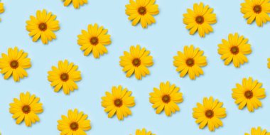 Mavi arkaplan üzerinde bahçe çiçekleri. Üst görünüm düzlüğü