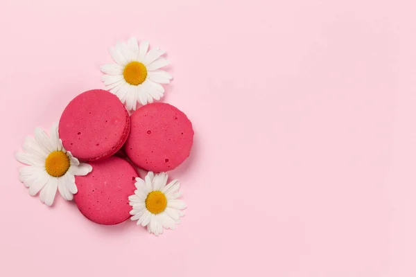 Flores Camomila Biscoitos Macaroon Sobre Fundo Rosa Modelo Cartão Saudação — Fotografia de Stock