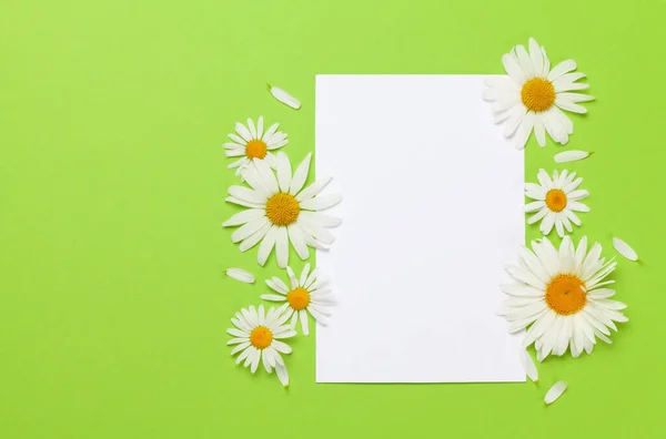菊花框架在绿色的背景上 鲜花般的问候卡片 带有复制空间的顶视图平面布局 — 图库照片