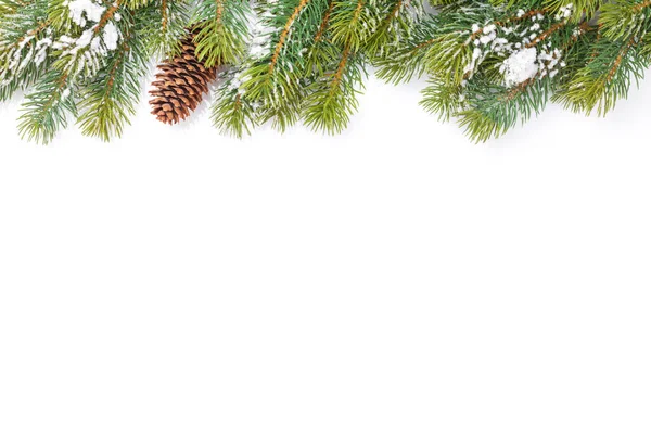 Weihnachtsgrußkarte Mit Tannenbaum Auf Weißem Hintergrund Isoliert Auf Weiß Draufsicht — Stockfoto