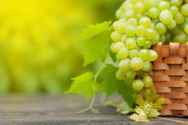 Üzüm bağındaki ahşap masada kopyalanmış beyaz üzüm.