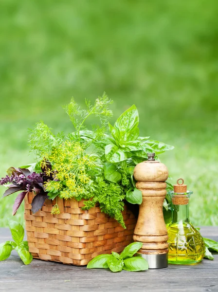 Berbagai Tanaman Herbal Dalam Keranjang Atas Meja Kebun Dengan Ruang — Stok Foto