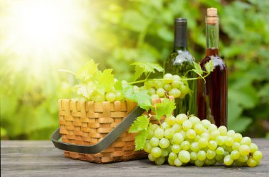 Beyaz ve gül şarabı şişesi ve üzümlü olgun üzüm üzüm üzümleri bağdaki ahşap masada.