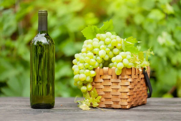 Witte Wijnfles Rijpe Druif Houten Tafel Wijngaard — Stockfoto