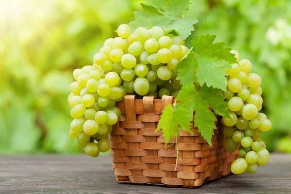 Raisin Blanc Mûr Sur Table Bois Dans Vignoble — Photo