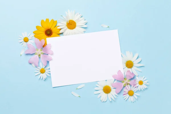 Kerti Virágok Keret Felett Kék Háttér Virágüdvözlő Kártya Top View — Stock Fotó