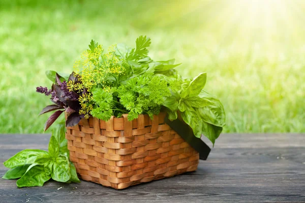 Diverses Herbes Dans Panier Sur Table Jardin — Photo