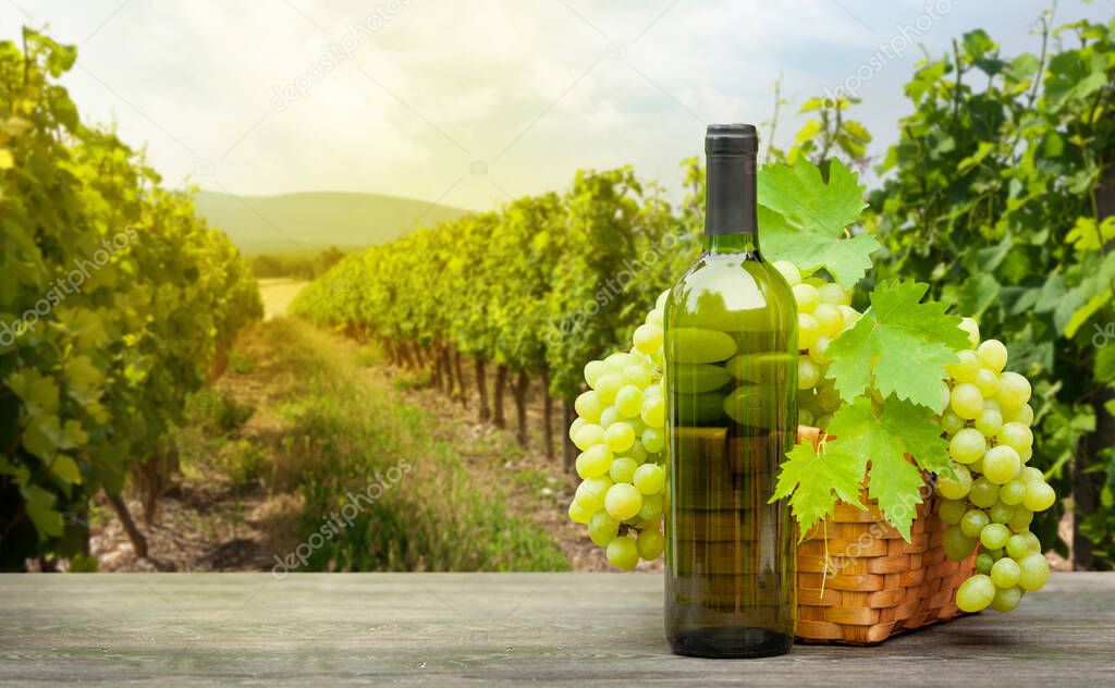 White grapes in basket and white wine bottle on wooden table in front of landscape of vineyard. French countryside valley