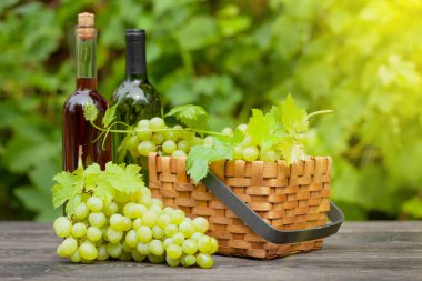 Beyaz ve gül şarabı şişesi ve üzümlü olgun üzüm üzüm üzümleri bağdaki ahşap masada.