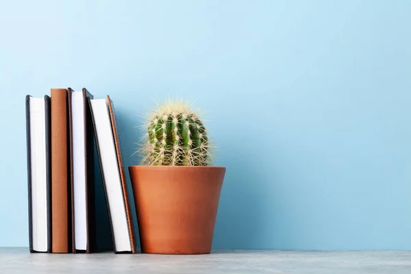 Office Notepad Supplies School Book Items Cactus Plant Front Blue — Stock Photo, Image