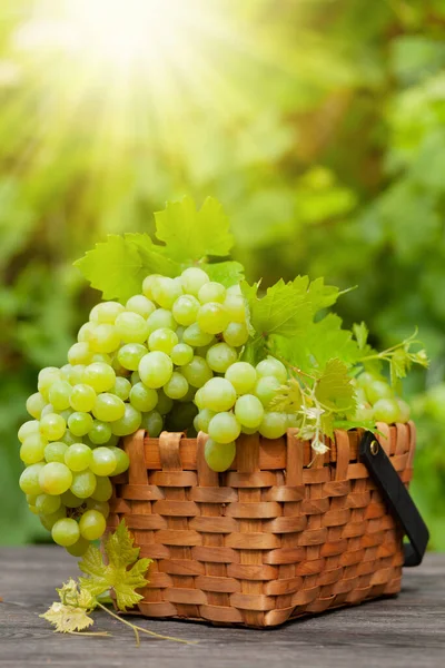 Raisin Blanc Mûr Sur Table Bois Dans Vignoble Avec Espace — Photo