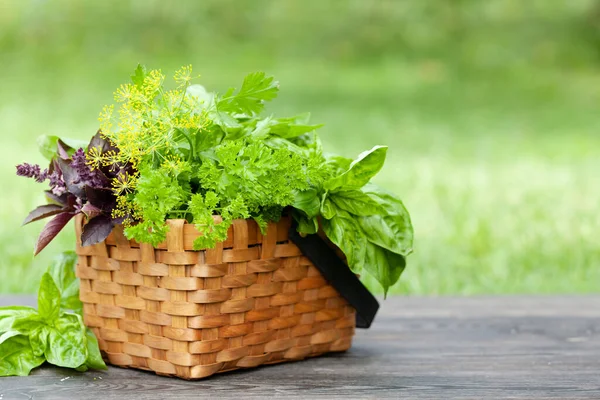 Berbagai Tanaman Herbal Dalam Keranjang Atas Meja Kebun Dengan Ruang — Stok Foto