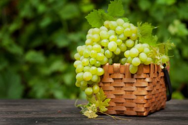 Üzüm bağındaki ahşap masada kopyalanmış beyaz üzüm.