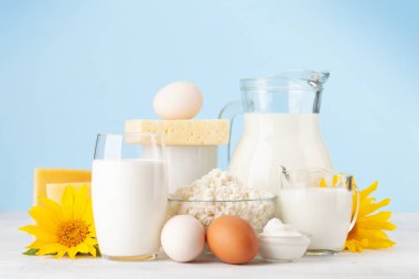 Çeşitli süt ürünleri. Süt, peynir, kulübe, ekşi krema. Mavi arkaplanın önünde