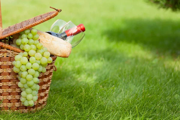Picknickmand Met Wijn Stokbrood Druiven Zonnig Gras Met Kopieerruimte — Stockfoto