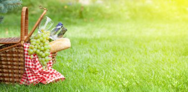 Şarap, üzüm ve ekmekli piknik sepeti. Bahçede güneşli otlar ve fotokopi alanı.