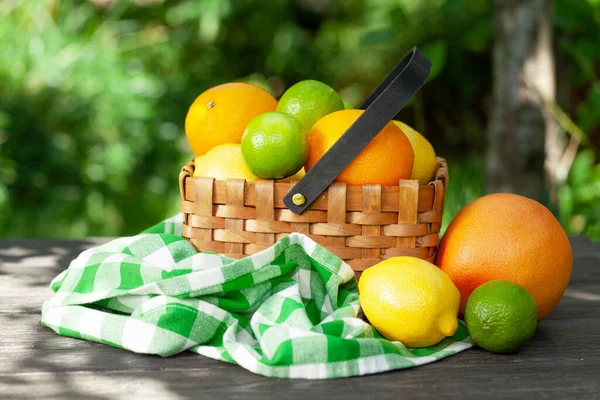 Verschiedene Zitrusfrüchte Korb Auf Dem Gartentisch Orangen Zitronen Limetten Und — Stockfoto