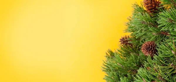 Noel Tebrik Kartı Noel Kutlaması Için Içinde Köknar Ağacı Boşluk — Stok fotoğraf