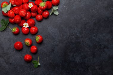 Taş masada olgun bahçe çileği. Üst görünüm düzlüğü kopyalama alanı ile yatıyordu