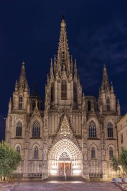 Gece, İspanya Gothic Barselona Katedrali
