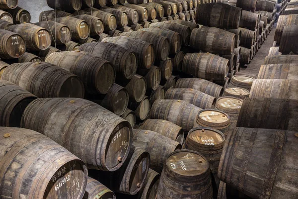 Rows Wooden Porto Wine Barrels Wine Cellar Porto Portugal — Stock Photo, Image