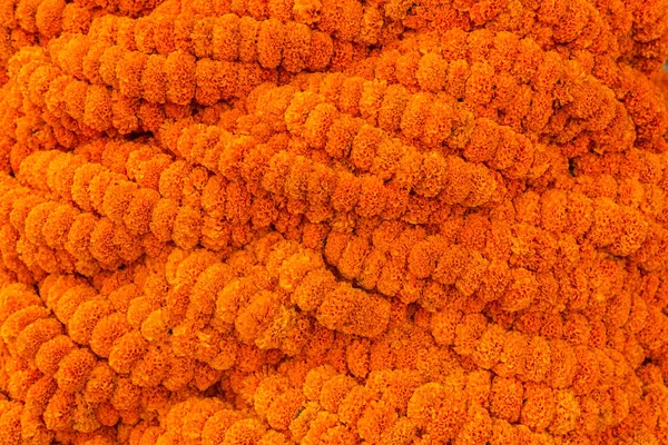 橙色茂盛的万寿菊在螺旋组成 — 图库照片