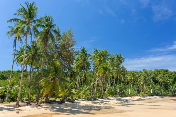 Palmer Vid Vackra Tropiska Strand Koh Kood Island Thailand — Stockfoto