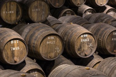 Row of wooden porto wine barrels in wine cellar Porto, Portugal. clipart