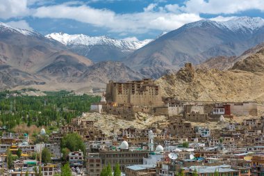 Leh şehir ve yeşil Indus Vadisi Leh Sarayı orta, Jammu ve Keşmir, Hindistan ile güzel görünümü.