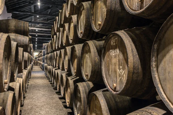 在葡萄牙波尔图的葡萄酒窖里排着木制波尔图葡萄酒桶 — 图库照片