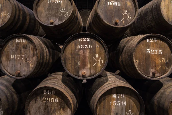 在葡萄牙波尔图的葡萄酒窖里排着木制波尔图葡萄酒桶 — 图库照片