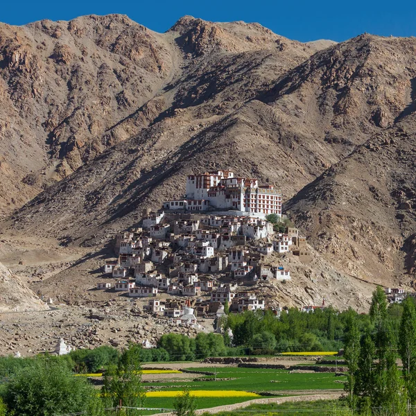 Chemre Gompa Buddhista Kolostorban Ladakh Dzsammu Kasmír India — Stock Fotó