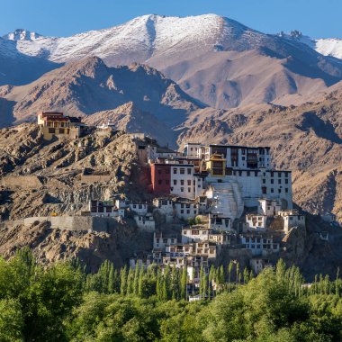 Spitok gompa Budist manastır arka planda, Ladakh, Jammu ve Keşmir, Hindistan yüksek Himalaya Dağları ile