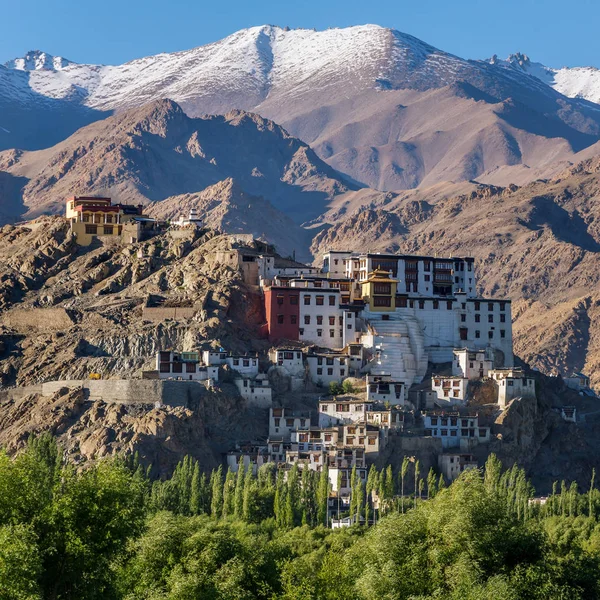 Spitok gompa Budist manastır arka planda, Ladakh, Jammu ve Keşmir, Hindistan yüksek Himalaya Dağları ile
