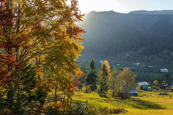 Schöne Bunte Morgenszene Mit Herbstbäumen Den Karpaten Ukraine — Stockfoto