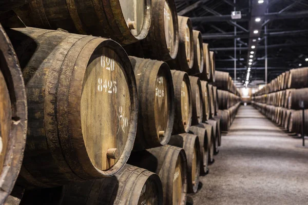 Satır ahşap porto şarap varil içinde şarap mahzeni Porto, Portekiz