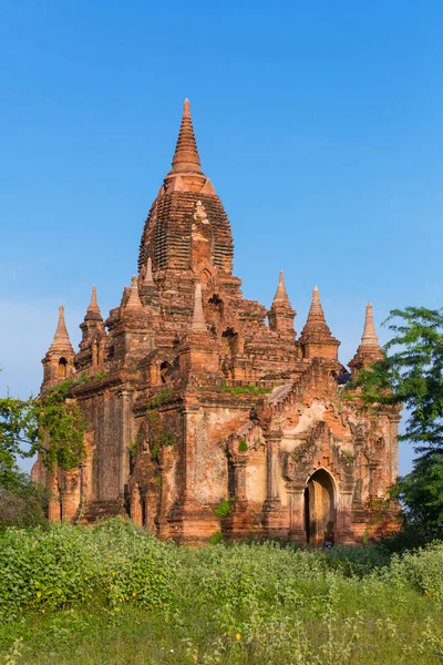 Eski Bagan pagoda tapınak Myanmar