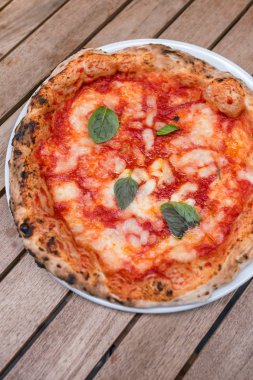 Özgün Napoliten pizza margherita tahta masada servis Napoli restoranda, İtalya