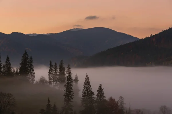 Sunrise autumn landscape in Carpathian mountains, Ukraine