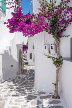Eski Şehir Naoussa, Paros Adası, Kiklad Adaları, Yunanistan bir tipik dar sokak görünümü