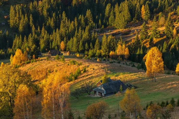 Colorful Autumn Landscape Mountain Village Foggy Morning Carpathian Mountains Ukraine — Stock Photo, Image