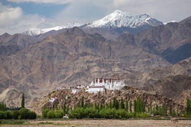 Stakna gompa Tapınağı (Budist manastır) Leh, Ladakh, Jammu ve Keşmir, Hindistan Himalaya dağ manzaralı.