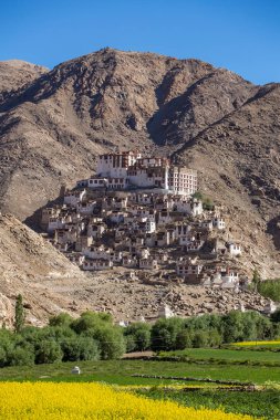 Chemre gompa Budist manastır Ladakh, Jammu ve Keşmir, Hindistan