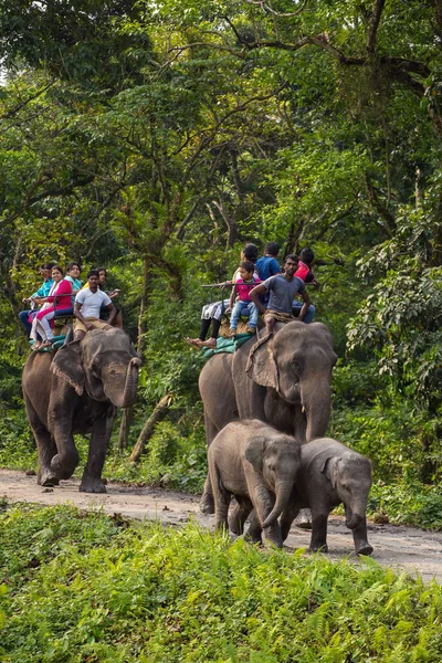 Jaldapara India Mayo 2017 Turistas Identificados Montando Elepahant Durante Safari — Foto de Stock