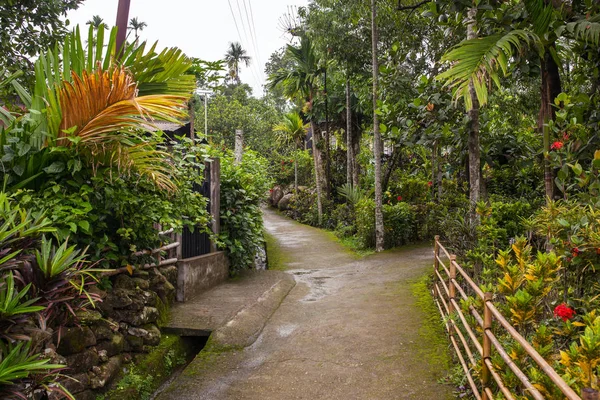 Clean Pathway Mawlynnong Village Meghalaya North East India Declared Cleanest — Stock Photo, Image