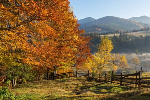 Beautiful Colorful Morning Scene Autumn Trees Carpathian Mountains Ukraine — Stock Photo, Image