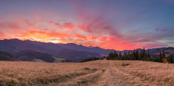 Coucher Soleil Majestueux Dans Paysage Montagneux Des Carpates Ukraine — Photo