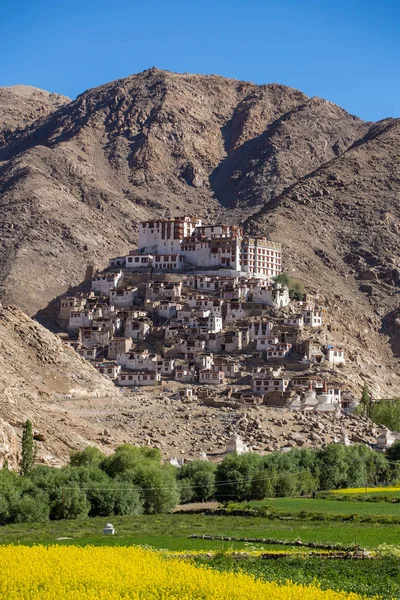 Chemre Gompa Buddhista Kolostorban Ladakh Jammu Kasmír India — Stock Fotó